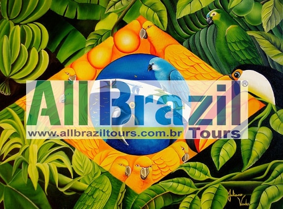 All Brazil Tours